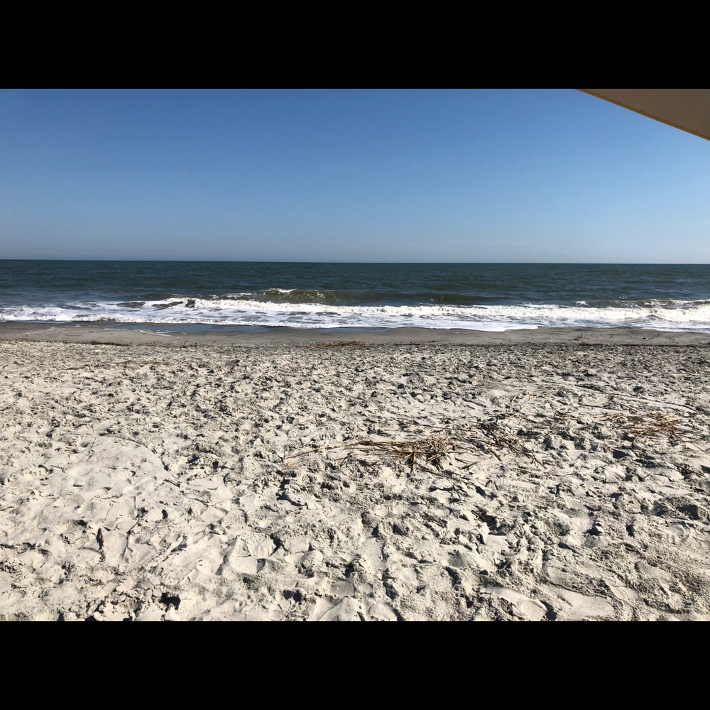 Meet your Posher, Hollie